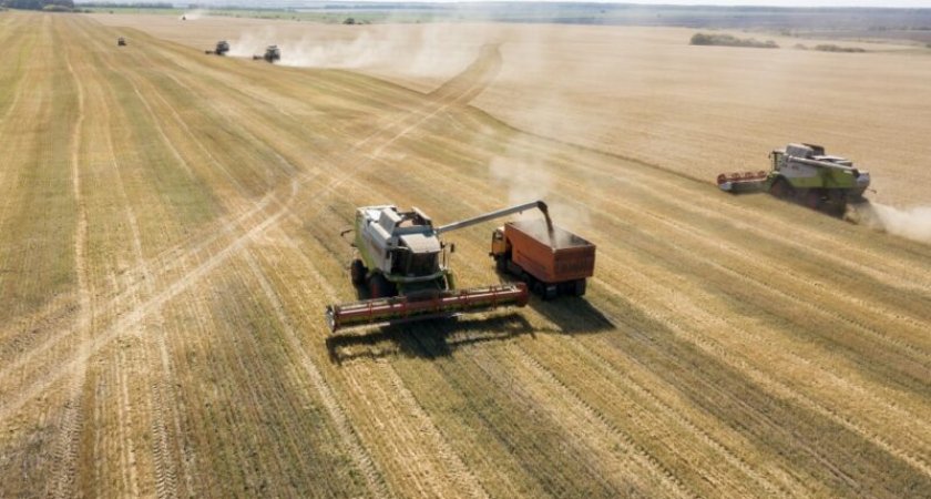 Свыше 3 млн тонн зерна собрано в Пензенской области
