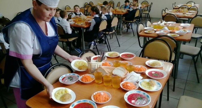 В нескольких районах Пензенской области выявлены нарушения в организации школьного питания
