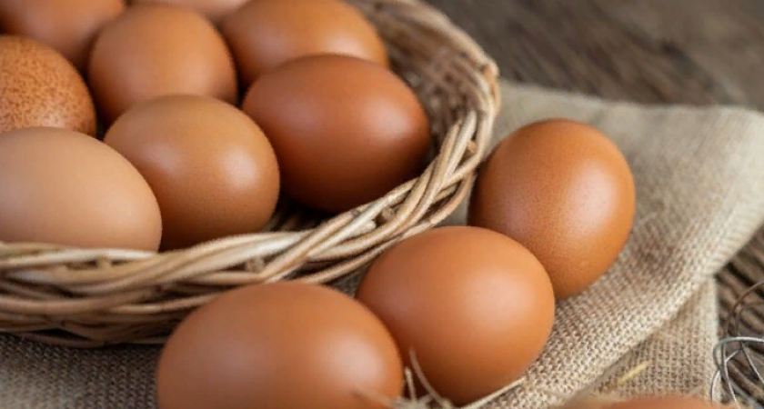 Минсельхоз Пензенской области заключил соглашение о стабилизации цен на куриные яйца