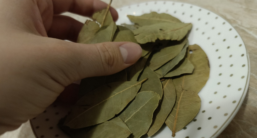 ����: progorod58.ru