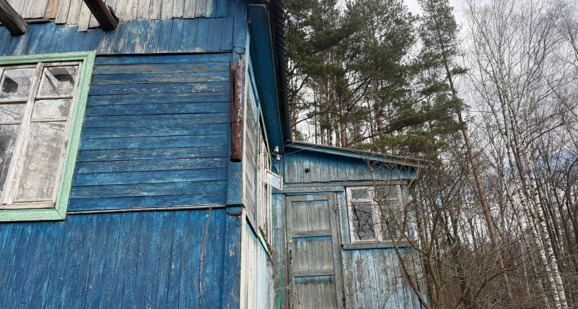  �������� ��������� ��� ��������� �������� ������ ������ ��������� 