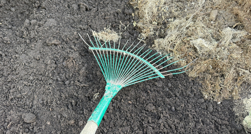  ����� ��������� ������ ������� ����� ��� ������ ������ 