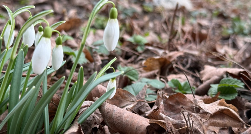  ���������� ������� ������ ���������� ������� �������� ��������������� 