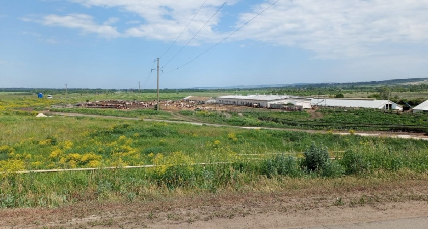 ����: progorod58.ru