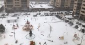 Желтый уровень погодной опасности: в ночь 26 декабря в Пензенской области ожидают метель