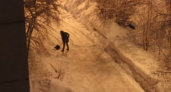 Ночной герой: пензячка с лопатой вышла на борьбу со снегом 