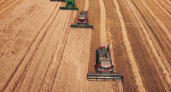 В Пензенской области с полей собрали почти 2,5 млн тонн зерна и бобовых