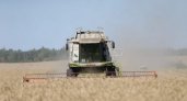 В Пензенской области планируют собрать 3 млн тонн зерна