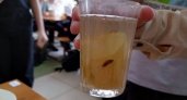 В школе Заречного в стакане компота нашли таракана 