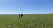 В Пензенской области будет засеяно 1 млн 125 тысяч гектаров земли