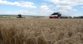 Пензенская область лидирует в ПФО по средней урожайности зерновых и зернобобовых