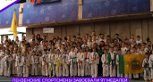 97 медалей привезли юные  пензенские тхэквондисты со вероссийского турнира 