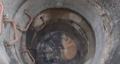 Пензенские спасатели вытащили собаку из колодца коллектора