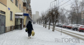 В Пензенскую область вместо крещенских морозов приходит потепление и снегопад