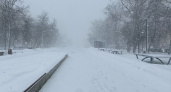 Сильный снег, метель и снежные заносы прогнозируют на среду в Пензенской области 