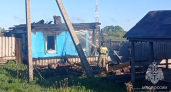 В Шемышейском районе 3 человека погибли в пожаре