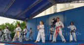 В Пензе 11 мая пройдет международный Георгиевский фестиваль боевых искусств