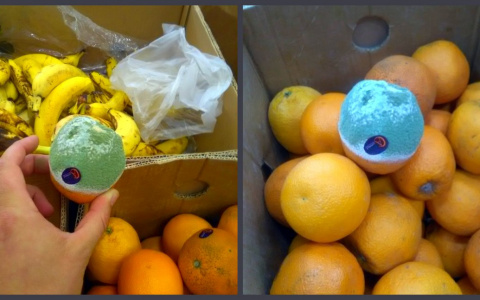 Пензенцам предлагают купить "живые" апельсины