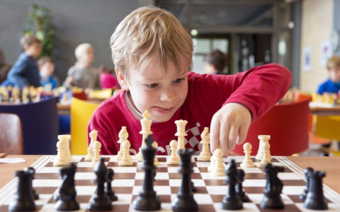 Как развить у ребенка логическое мышление, сосредоточенность и  самостоятельность?