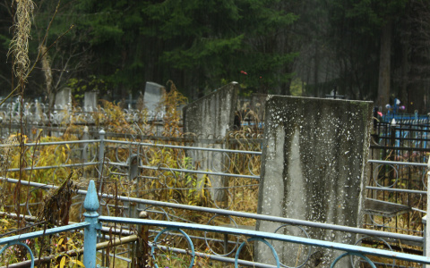 В Пензенской области малолетний вандал "разукрасил" памятники на могилах