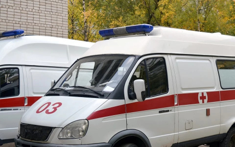 В Пензенской области водитель сбил двух девочек