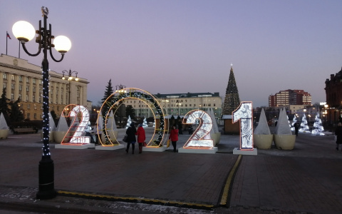 Новогодние каникулы в России предложили перенести