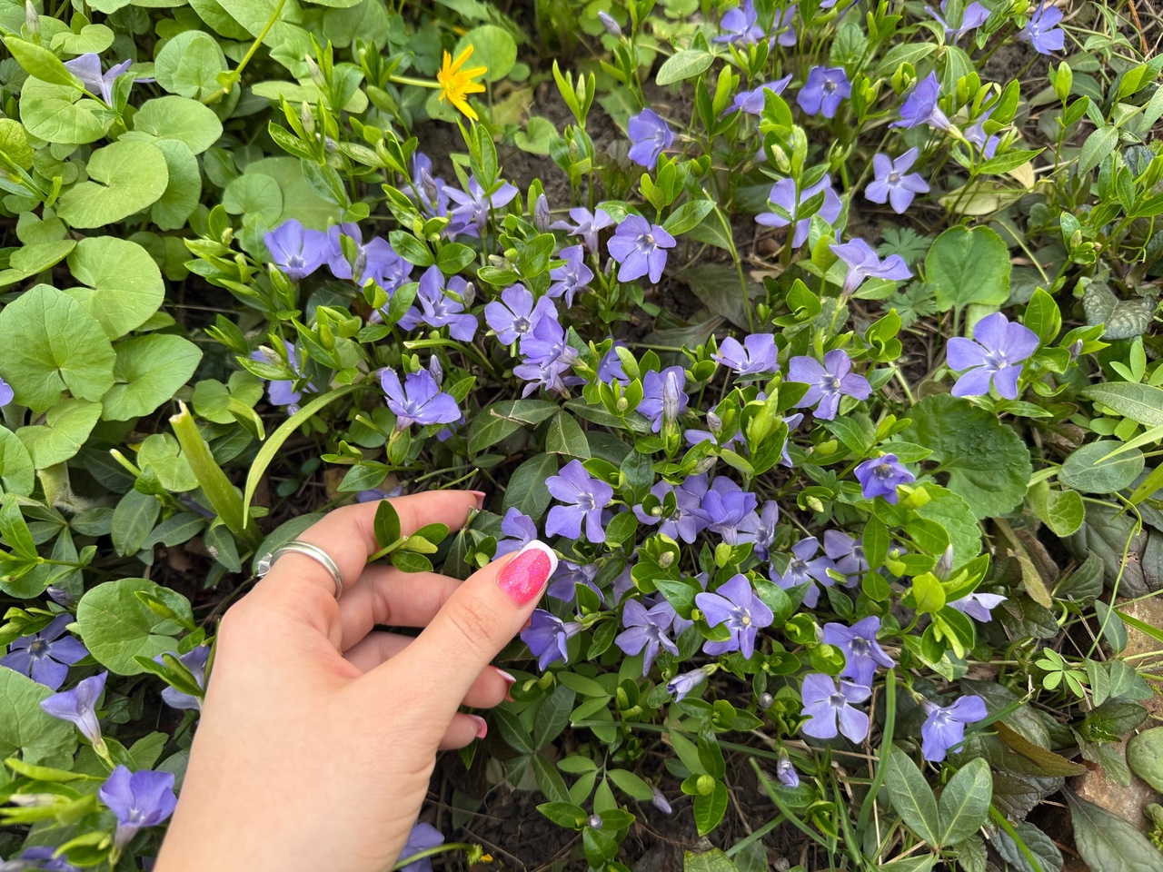  ����� ������� ���������� ����� 80-����� ������ 