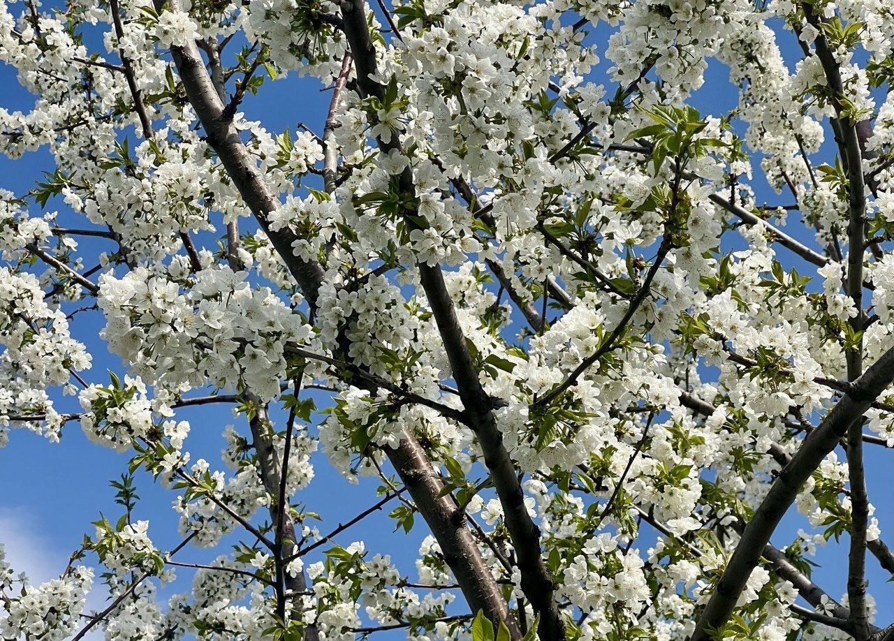  ��������� ����� �������� ������� ����� �������� 