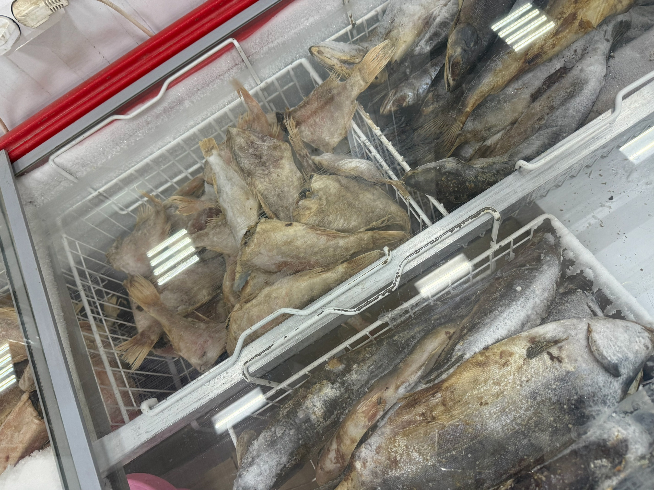  ������ ���� ����������� ������� ��������� ����� �������� ������� 