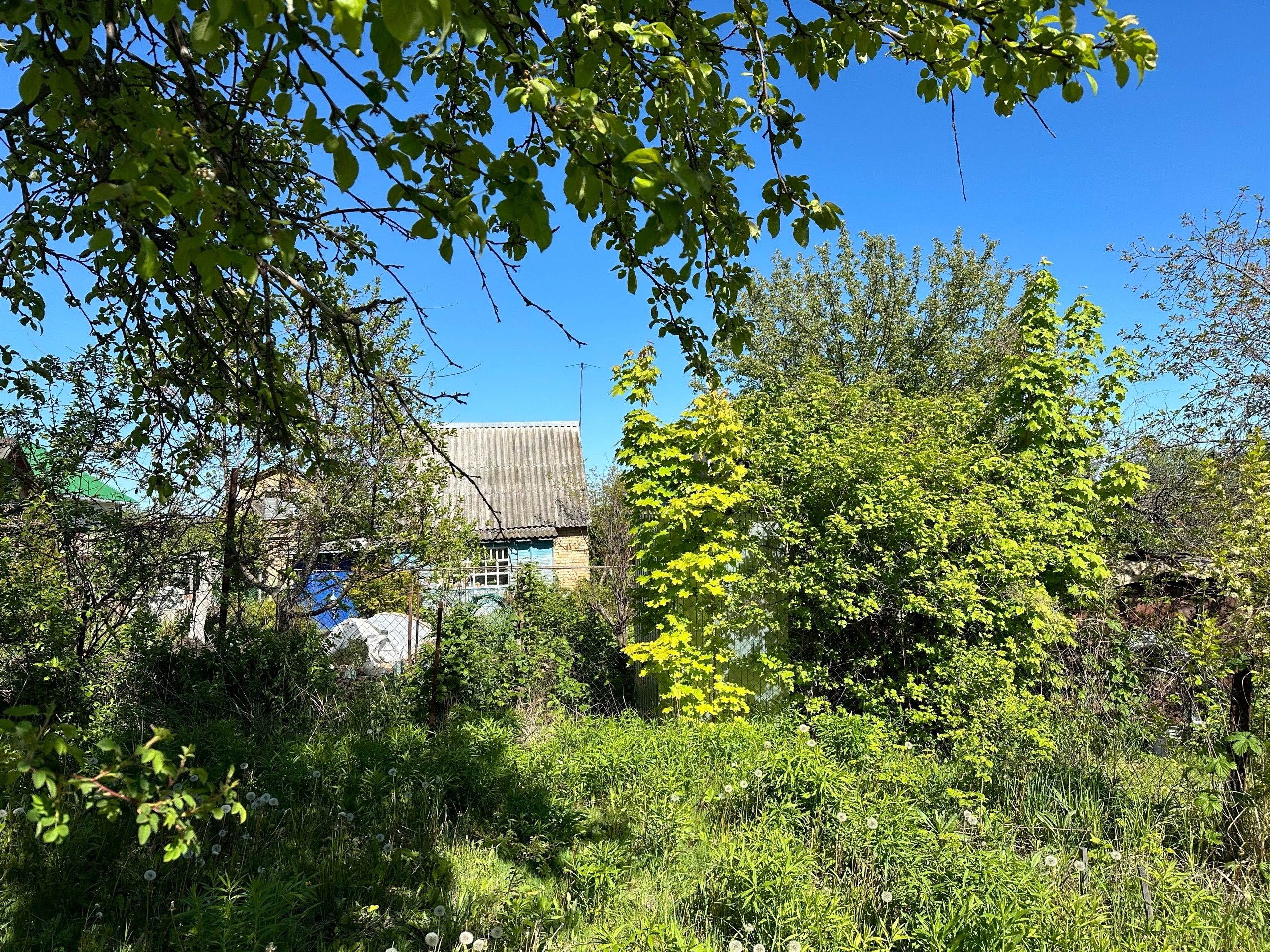  ��������� ��������� ������ ��������� ������� ������� ���� �������� 