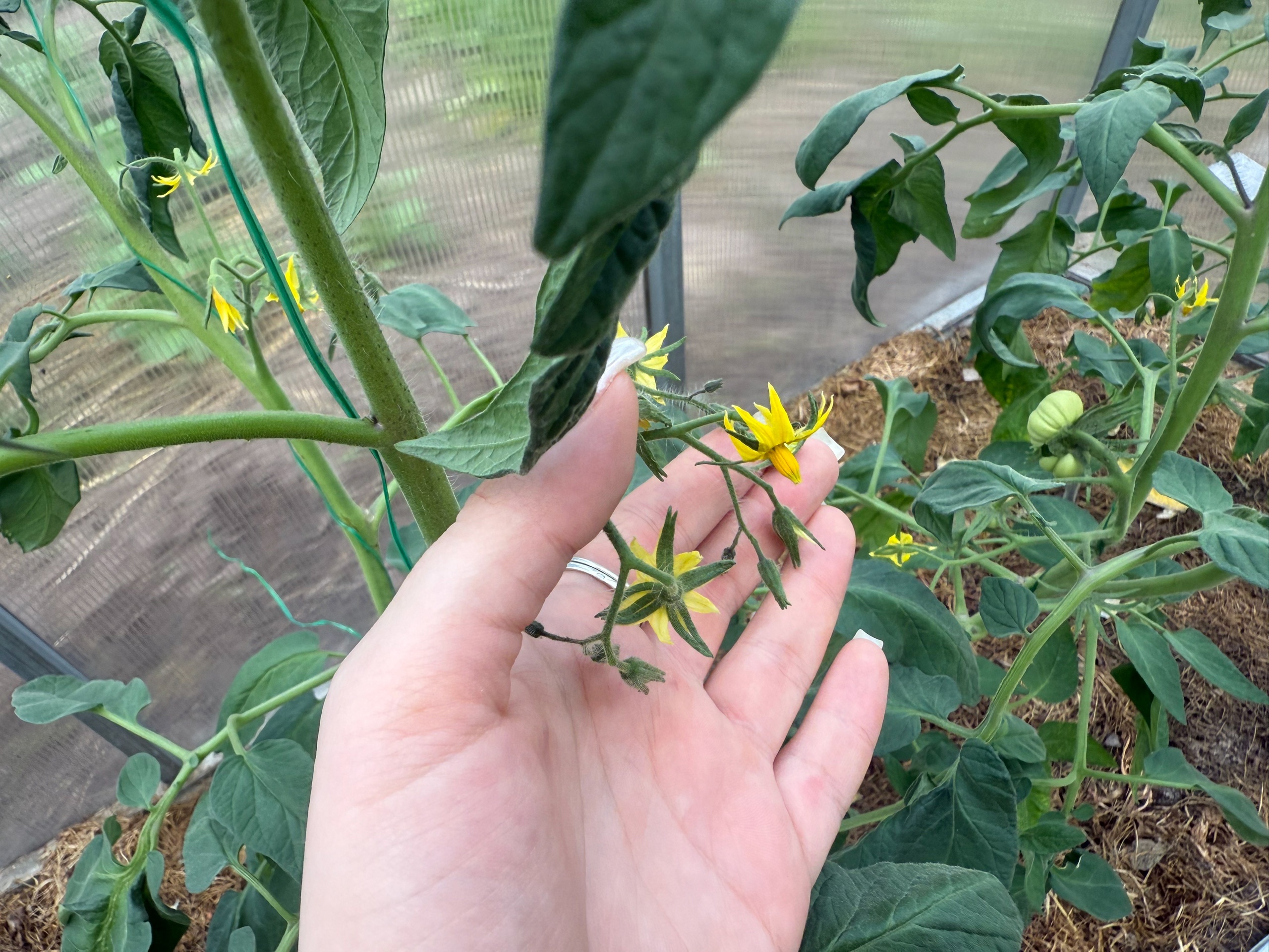  ��������� �������� ������ �������� ������� ������ ��������� ���� 