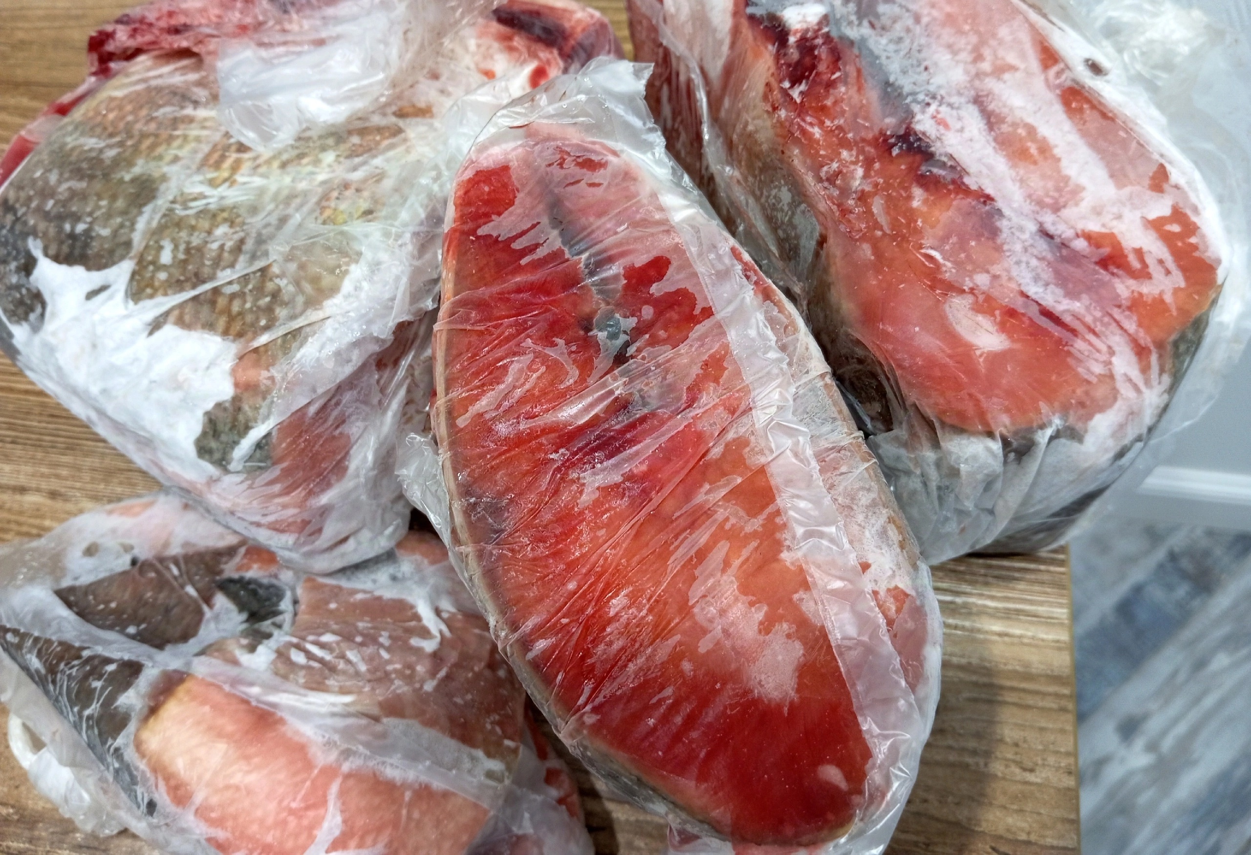  ������ �������� ���� ������� ����� ������� ��������� ������� 