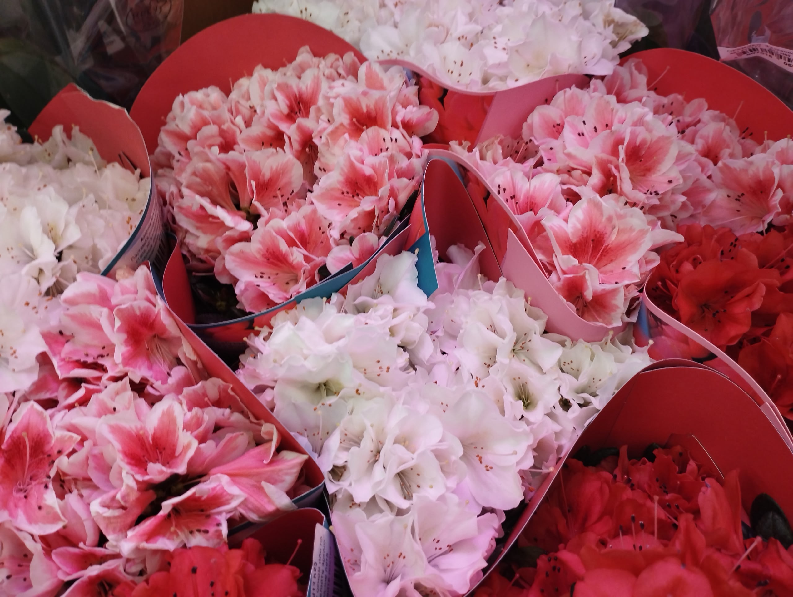  ��������� ���� ������������� ������ ����� ����� 