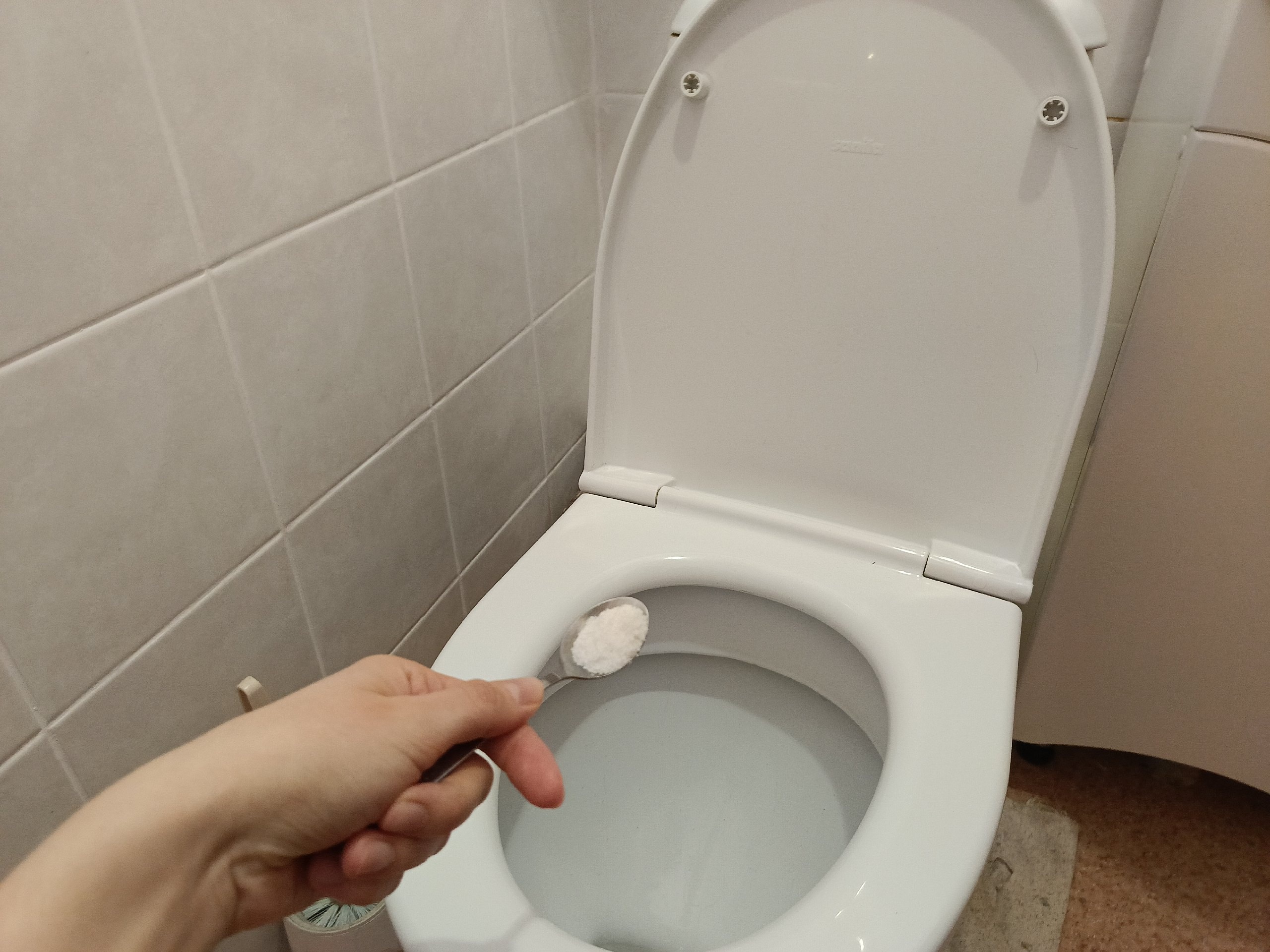  ������ ���� ������� ���� ����� 