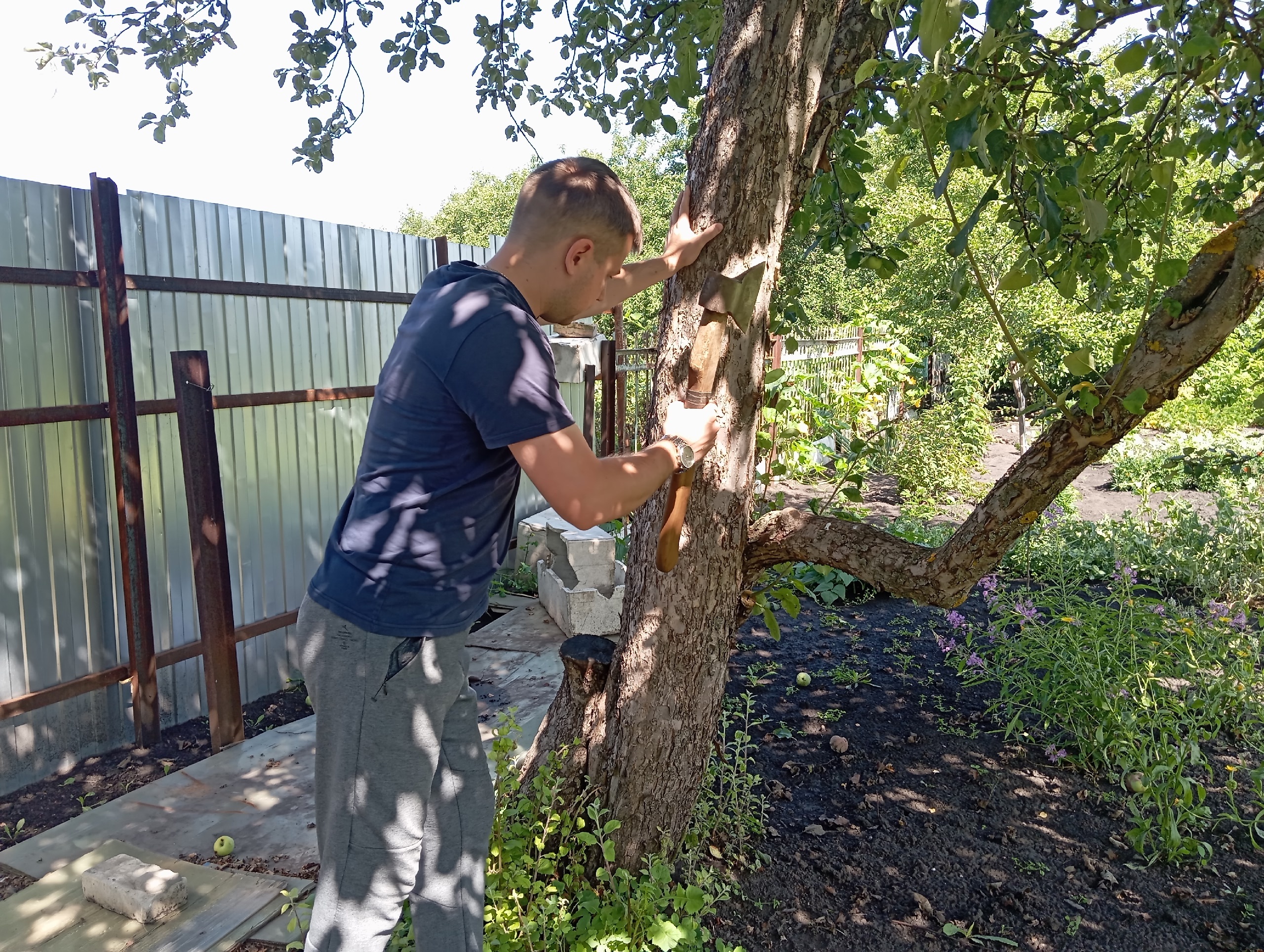 ����: progorod58.ru