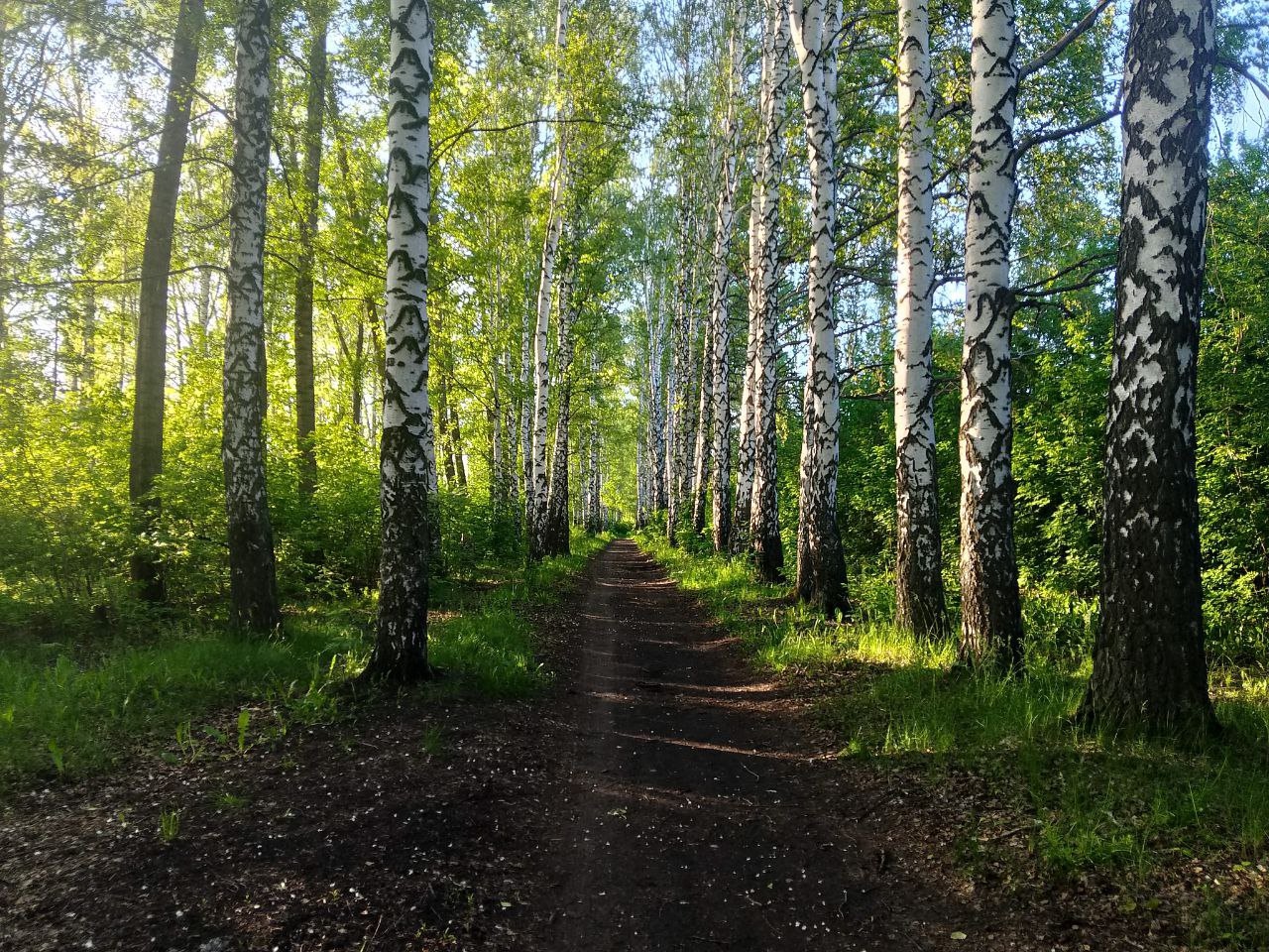 ����: progorod58.ru