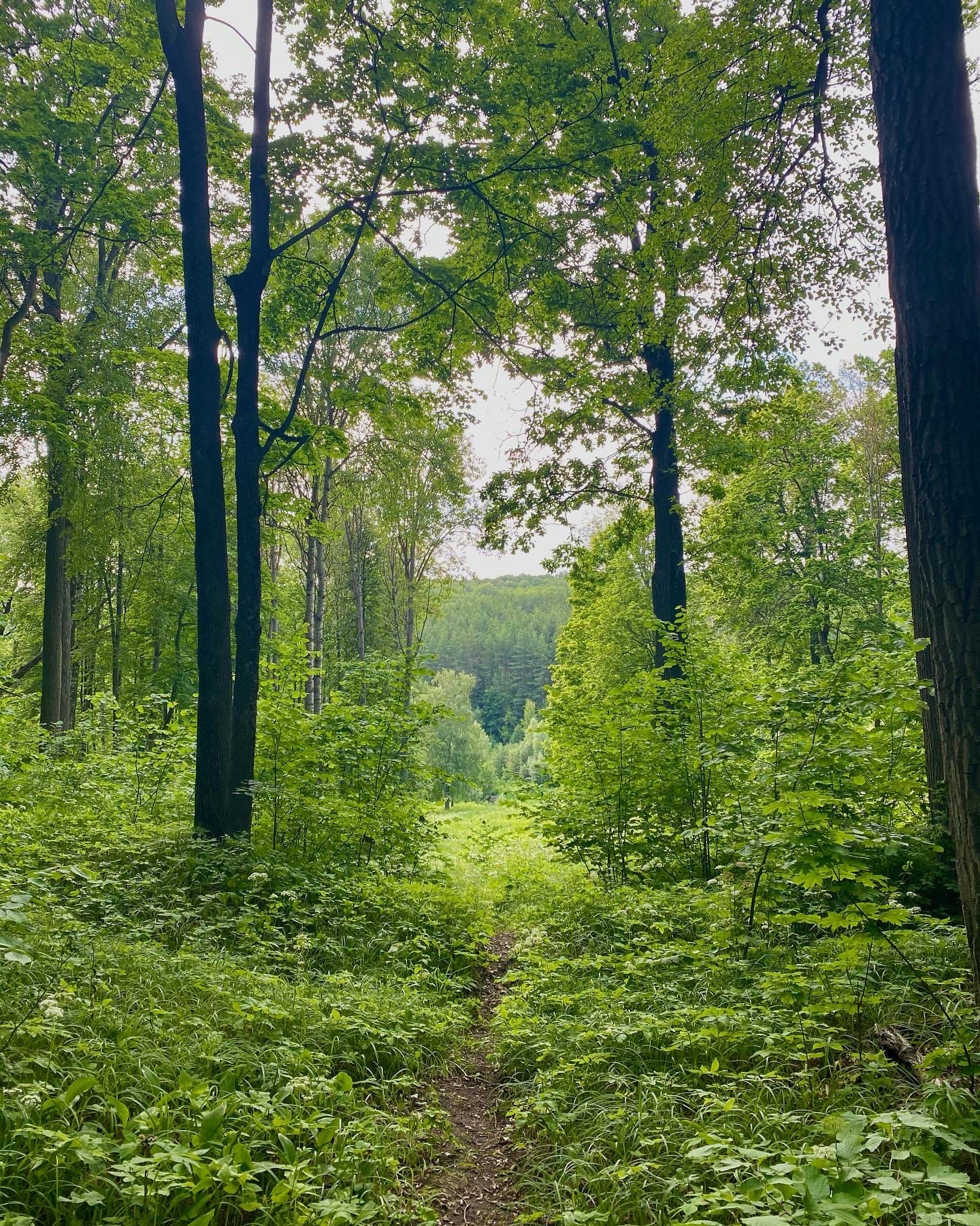 Фото: progorod58.ru