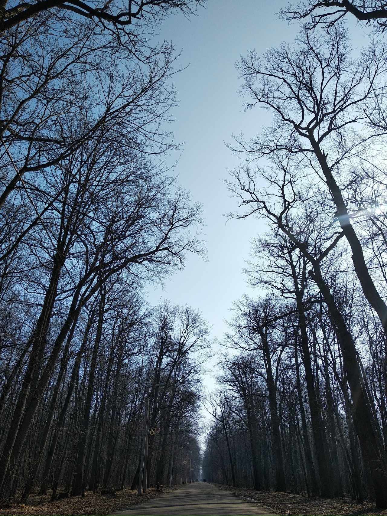 ����: progorod58.ru