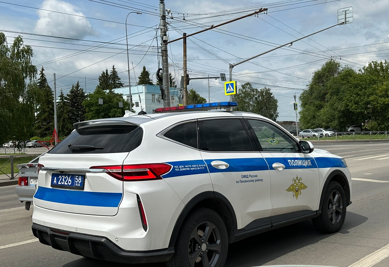 ����: progorod58.ru