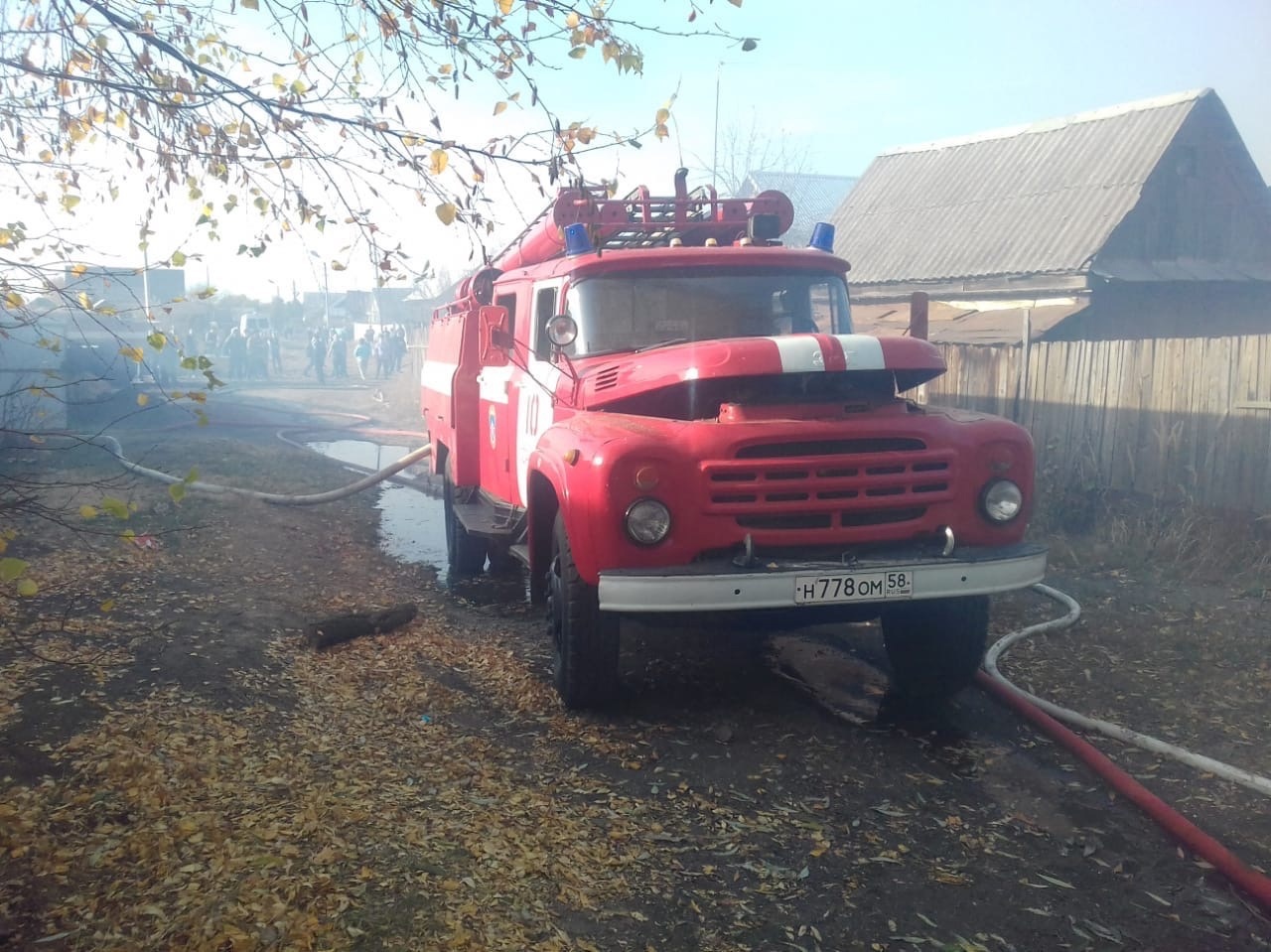  �������� �������� ���������� ���� ������ ������� 