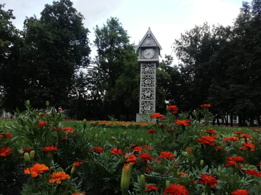 ����: progorod58.ru