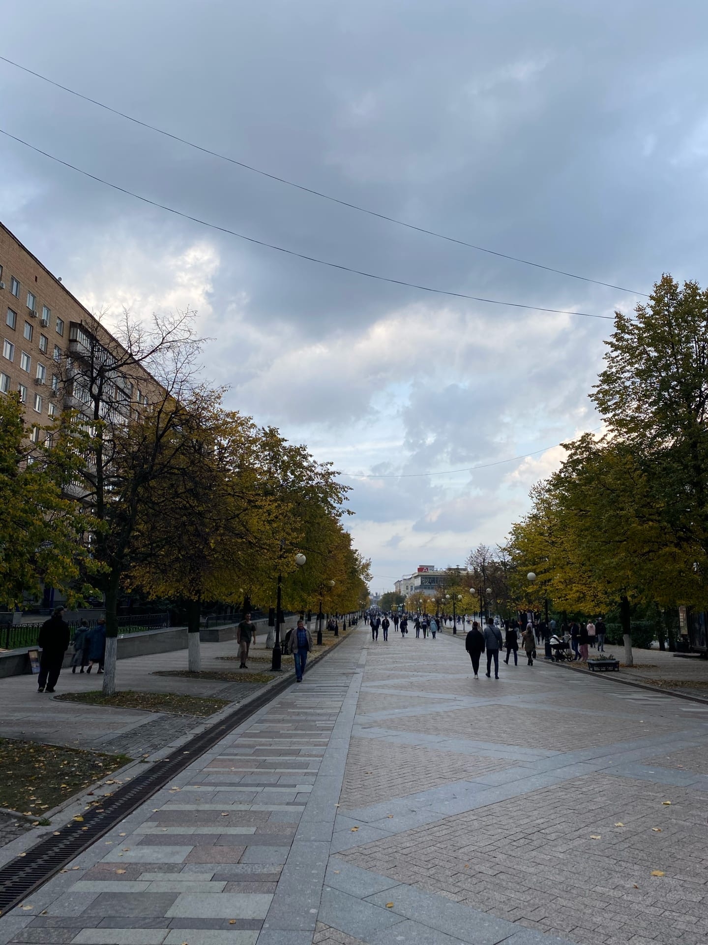  ����� ������� ����������� ������� �������� ������� ��������� ������������ 