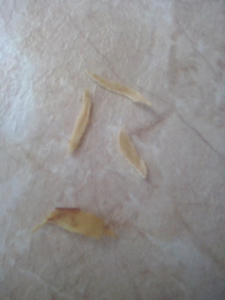 Изображение к жалобе