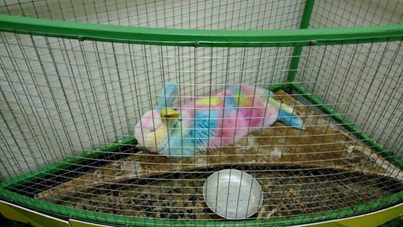 Изображение к жалобе