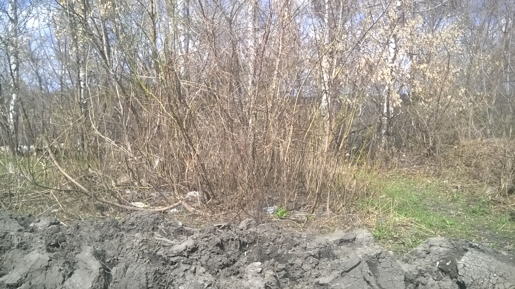 Изображение к жалобе