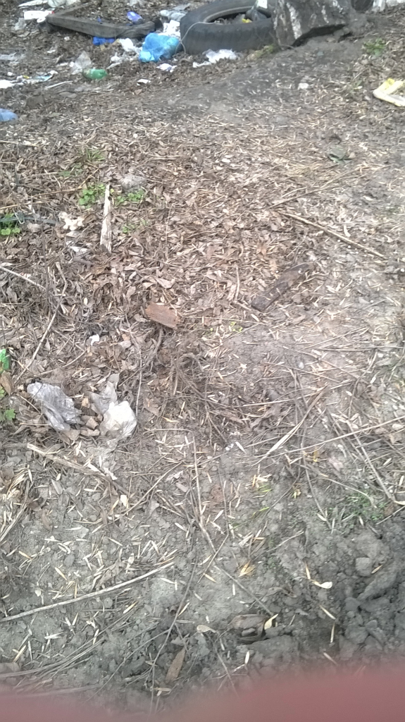 Изображение к жалобе