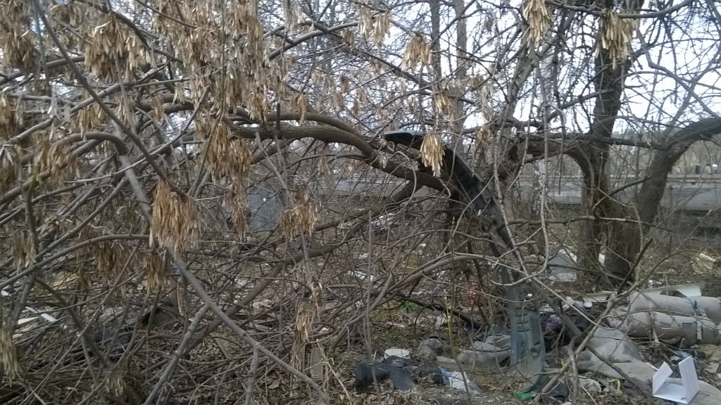 Изображение к жалобе