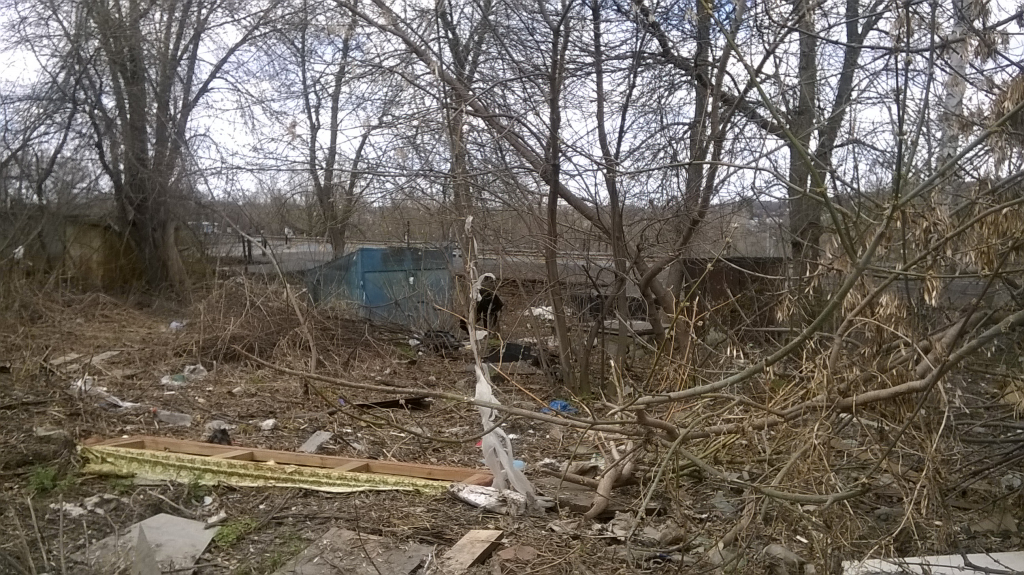 Изображение к жалобе