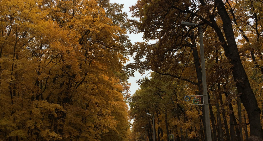 Олимпийскую аллею закроют для посетителей