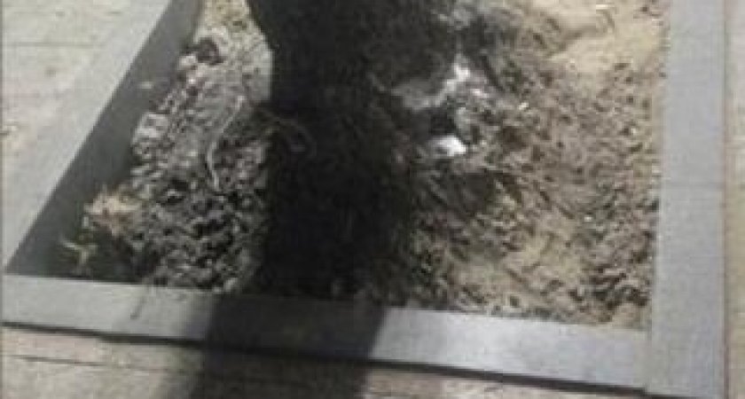 В Пензе просят вернуть лицы на верхней части улицы Московской